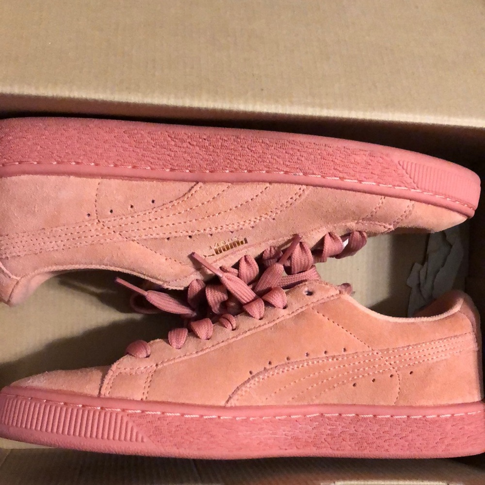 pumas